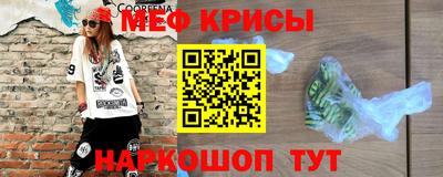 гашик Кингисепп