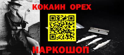 гашик Кингисепп