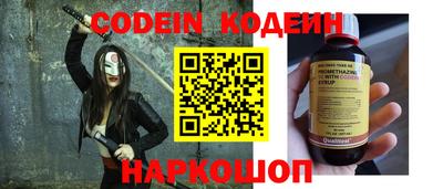 гашик Кингисепп