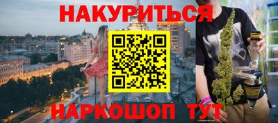 гашик Кингисепп