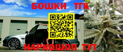 гашик Кингисепп