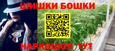 гашик Кингисепп