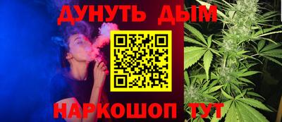 гашик Кингисепп