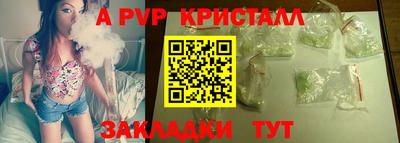 гашик Кингисепп
